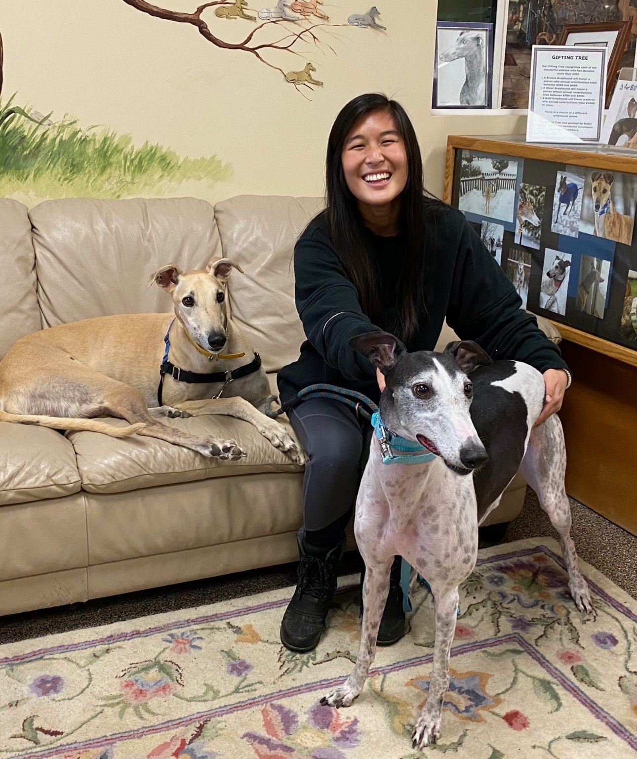 Summer, Cobi, Fay, Nixon - Greyhound Pets, Inc.