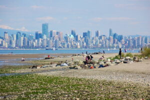 Spanish Banks Greyhound & Sighthound Walk @ Vancouver | British Columbia | Canada