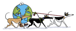 Great Global Greyhound Walk @ Everett Marina | Everett | Washington | United States