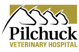 Pilchuck Veterinary Hospital
