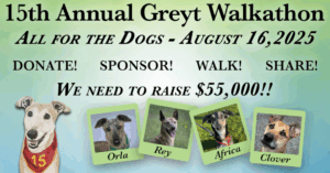 15th Annual Greyt Walkathon @ Lynndale Park Shelter #1 | Lynnwood | Washington | United States