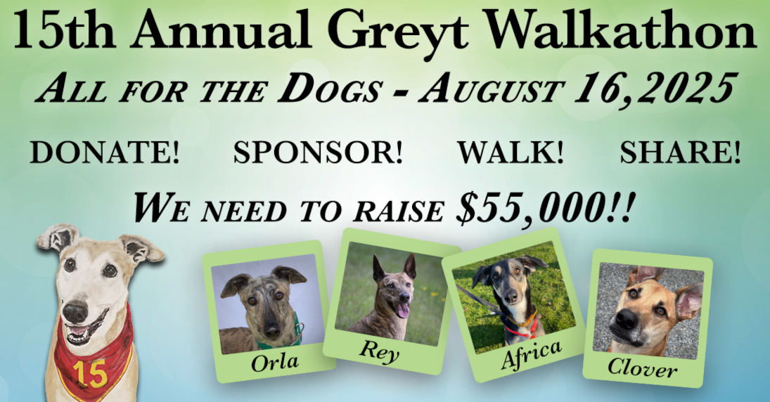 Walkathon-featured