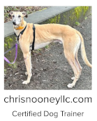 chrisnooneyllc.com Certified Dog Trainer